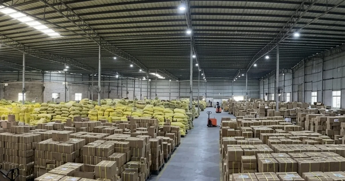 Nave de almacén con cajas de cartón apiladas listas para embarque